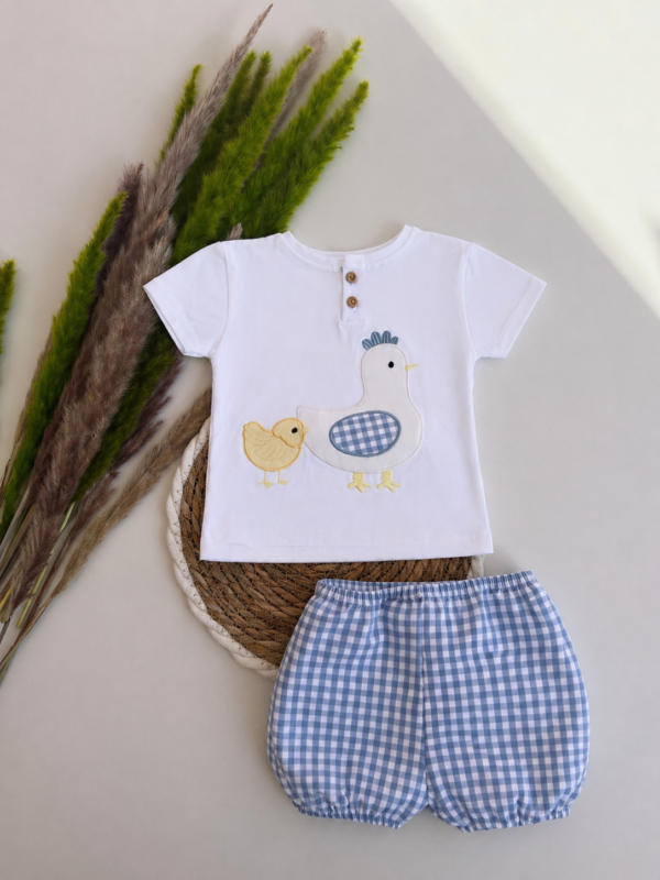 Conjunto baby chick