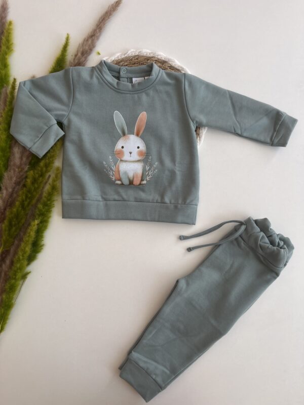 Chandal Rabbit